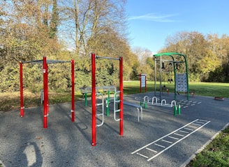 An outdoor fitness park surrounded by trees features various exercise stations with equipment like bars and rings. The area is bordered by lush green grass and there are tall trees with autumn-colored leaves in the background. The sky is clear and blue, creating a serene environment ideal for workouts.