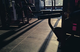 A dimly lit gym space with various fitness equipment including treadmills and weight machines. The sunlight creates long shadows on the floor, adding contrast to the scene.